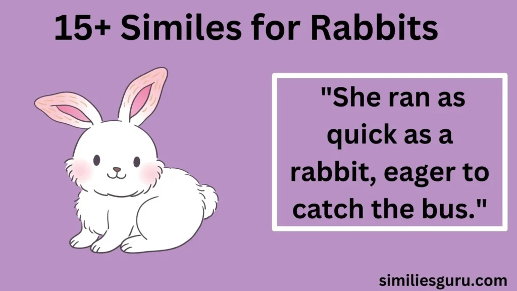 15+ Similes for Rabbits