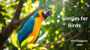 Read more about the article 25+ Similes for Birds