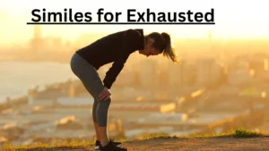 Read more about the article 10+ Similes for Exhausted
