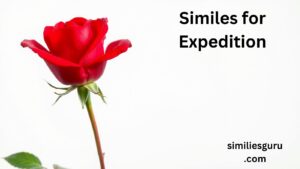 Read more about the article 20+ Similes for Expedition