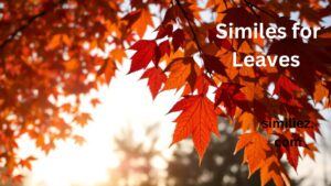 Read more about the article 25+ Similes for Leaves