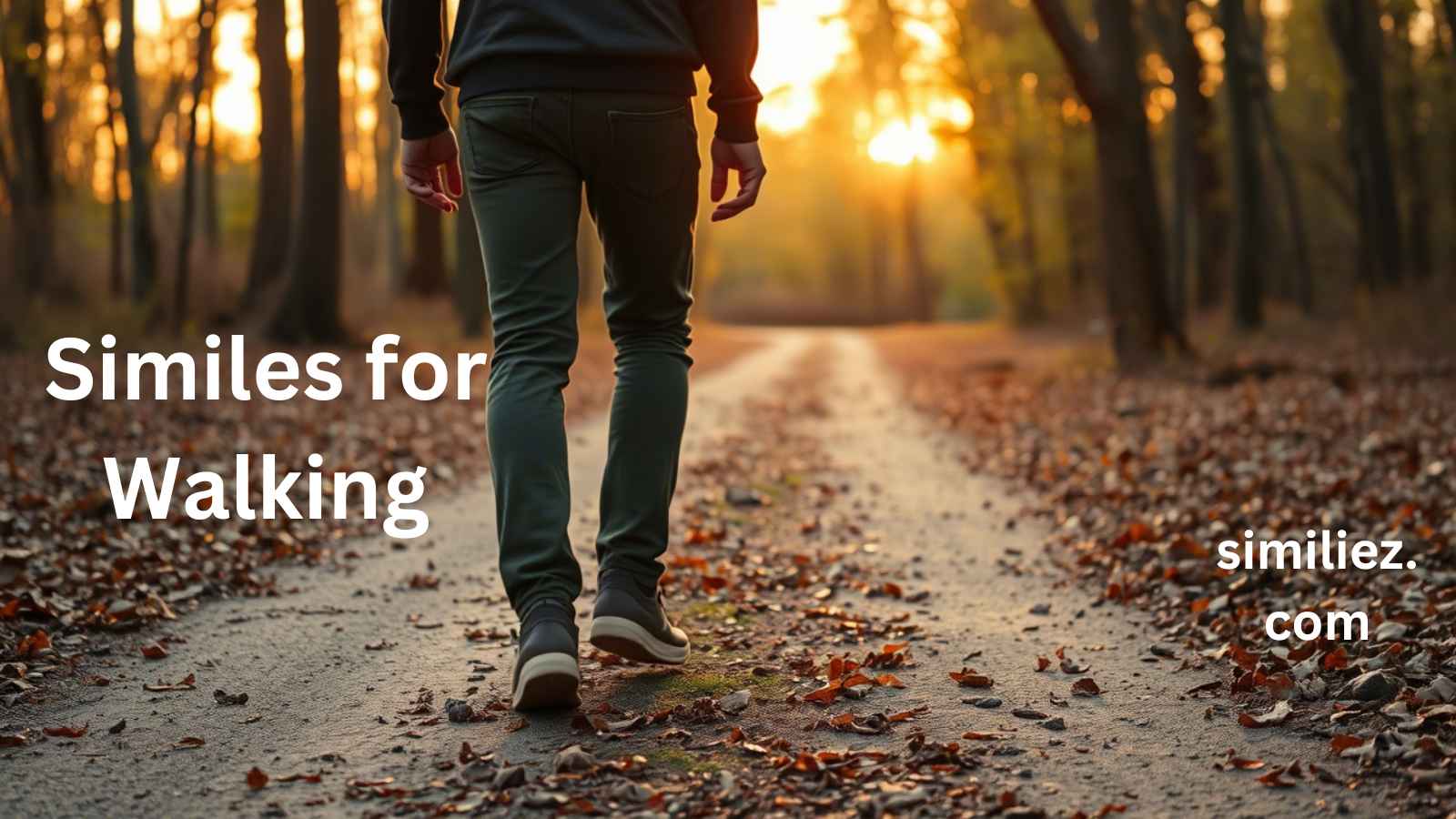 You are currently viewing 15+ Similes for Walking