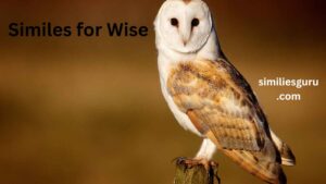 Read more about the article 15+ Similes for Wise: A Guide to Polite, Professional, and Casual Alternatives
