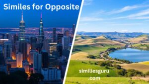 Read more about the article 15+ Similes for Opposite