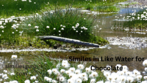 Read more about the article 15+ Similes in Like Water for Chocolate